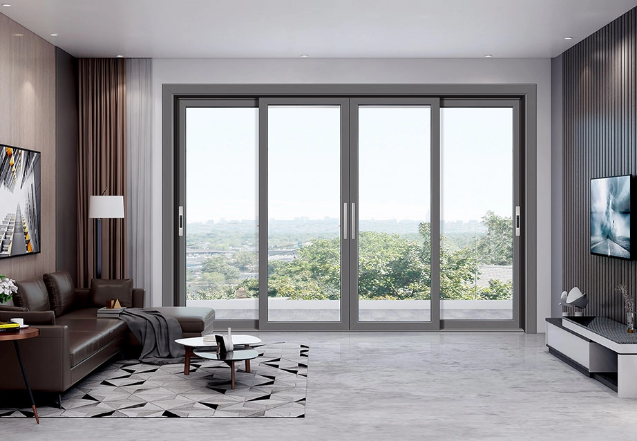 sliding door2